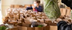 Beaver Bags being filled with fresh food items