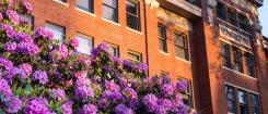 flowers in front of brick building