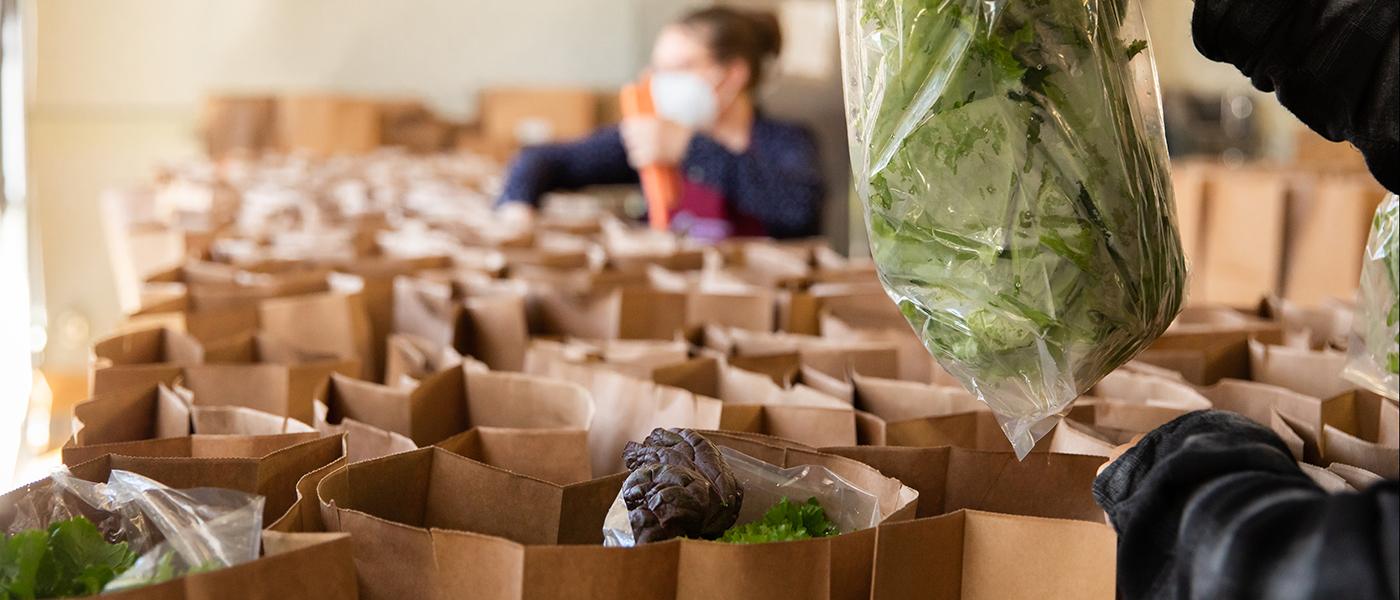 Beaver Bags being filled with fresh food items