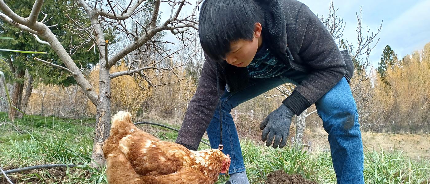 student petting chicken in Ashland during Alt Break